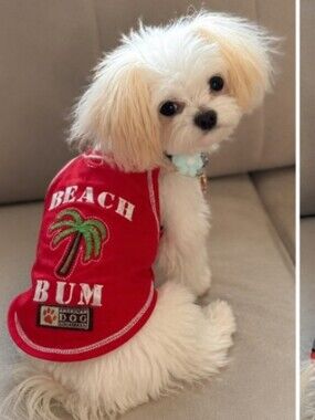 Small Dog Clothes Hoodies Jackets Raincoat XS-S  Puppy Mi-Ki Maltese